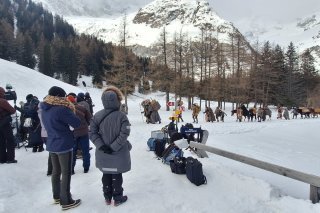 Le tournage du film "Mon ami Barry" a débuté il y a quelques jours, dans le Val Ferret.